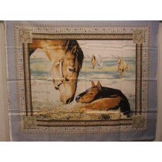 My Foal
